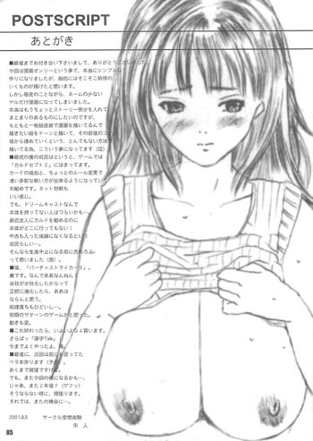 Page 85