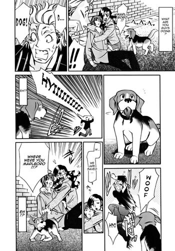 Page 182