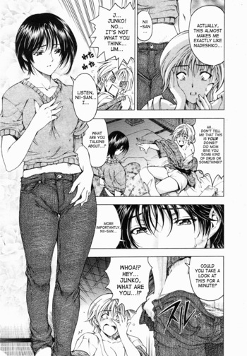 Page 223