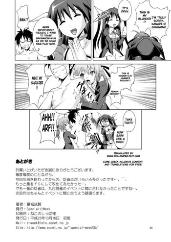 Page 26