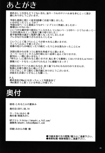 Page 29