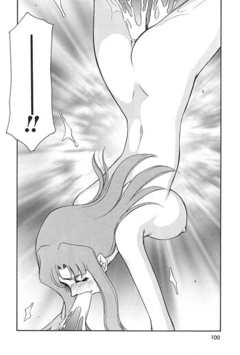 Page 101