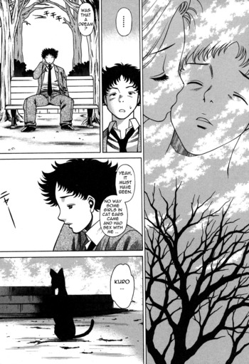 Page 205