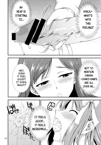 Page 33